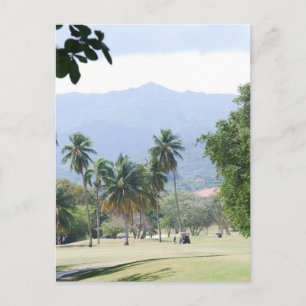 Tropical Golf Course Postcards