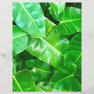 Tropical Green Foliage