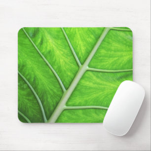 Tropical Green Leaf Texture Nature Photo Mousepad