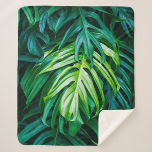 Tropical green leaves on dark background, nature s sherpa blanket