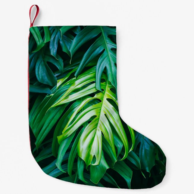 Tropical green leaves on dark background, nature s small christmas stocking (Front)