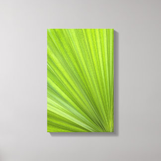 Tropical Green Palm Frond Canvas Print