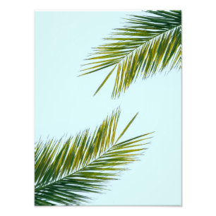 Tropical Green Palm Frond on Light Blue Photo Print
