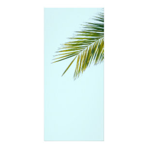 Tropical Green Palm Frond on Light Blue Rack Card