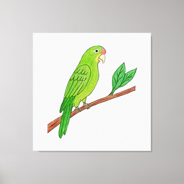 Tropical green parakeet canvas print (Front)