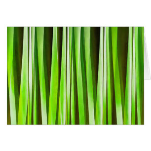 Tropical Green Riverweed
