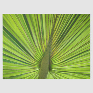 Tropical Green Tissue Paper