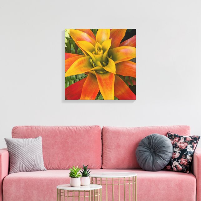 Tropical Guzmania Plant Floral Canvas Print (Insitu(LivingRoom))