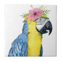 Tropical Halo - Parrot