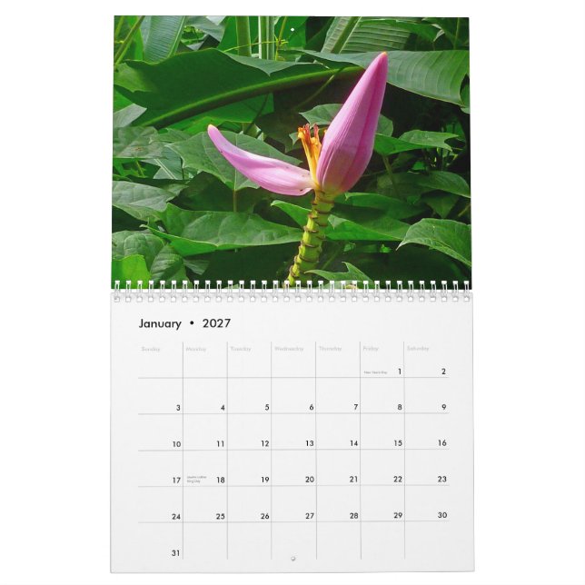 Tropical Hawaii Calendar (Jan 2027)