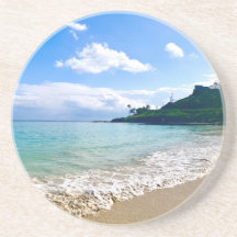 Tropical Hawaiian Beach