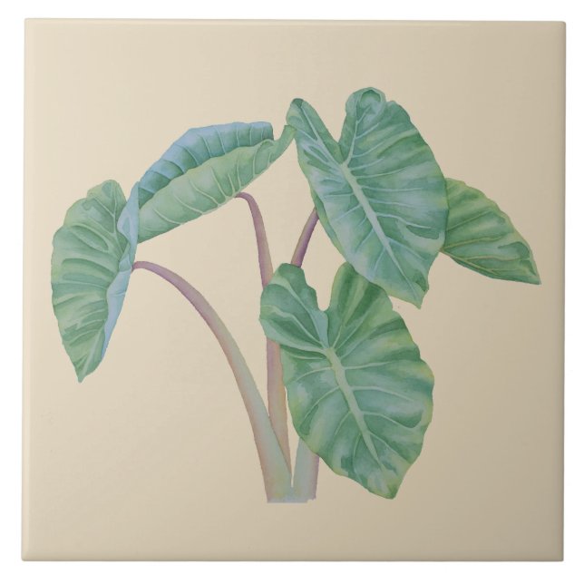 Tropical Hawaiian Taro Watercolor Ceramic Tile (Front)