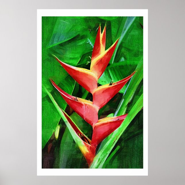 Tropical heliconia oil painting collection poster (Front)