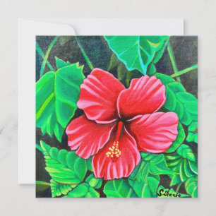 Tropical Hibiscus 