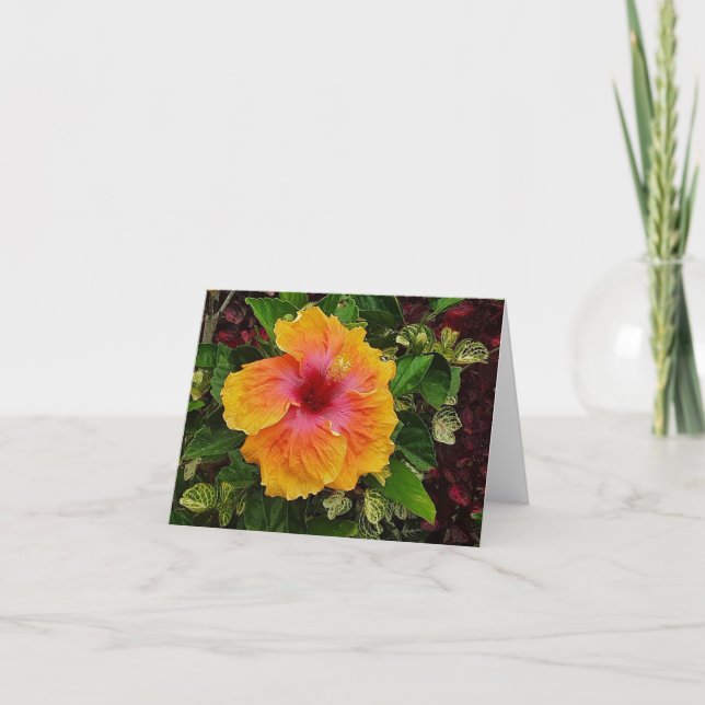 Tropical Hibiscus flower Holiday Card (Front)