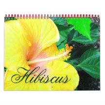 Tropical Hibiscus Flowers Calendar