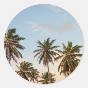 Tropical Holiday Palm Trees Classic Round Sticker