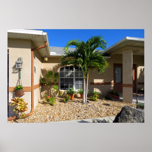 Tropical house Plumbago Hibiscus flowers Poster (Front)