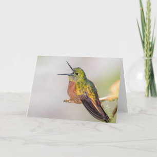 Tropical Hummingbird Talking Card