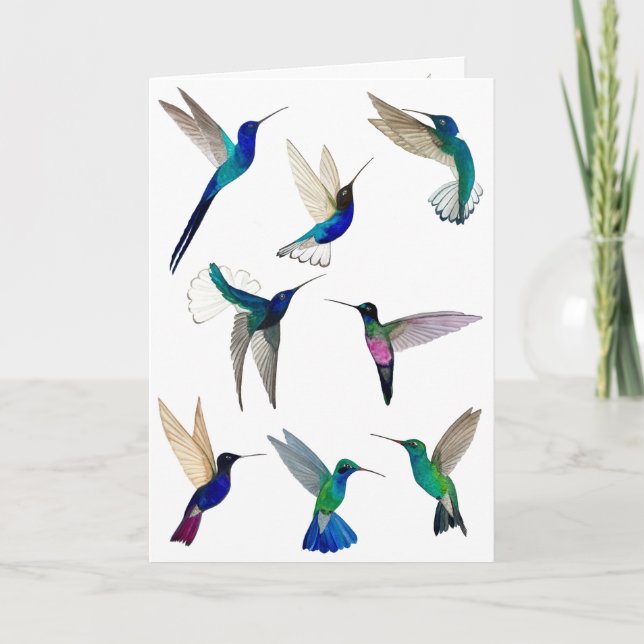Tropical Hummingbirds  Card (Front)