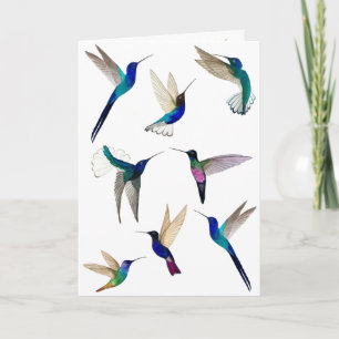 Tropical Hummingbirds  Card