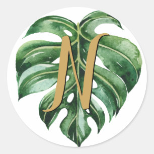 Tropical Initial Envelope Seals