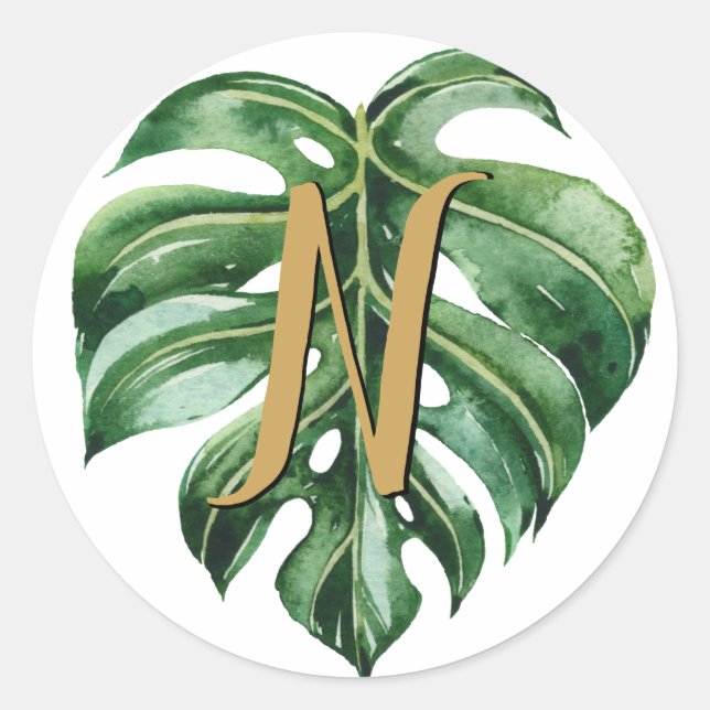 Tropical Initial Envelope Seals (Front)