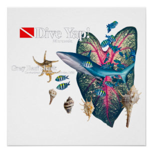 Tropical Invitation Poster