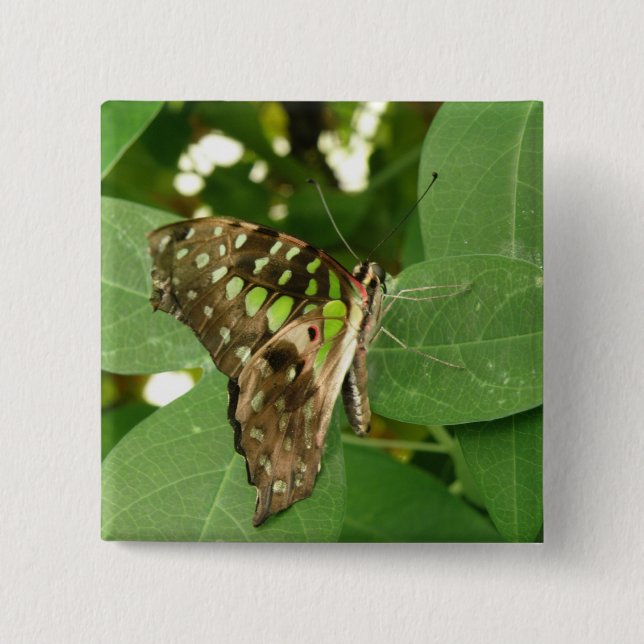 Tropical Iridescent Green Butterfly Button (Front)