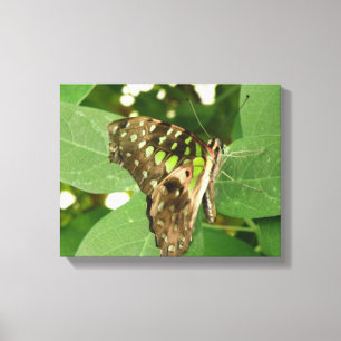 Tropical Iridescent Green Butterfly Canvas Print