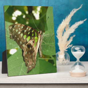 Tropical Iridescent Green Butterfly Plaque