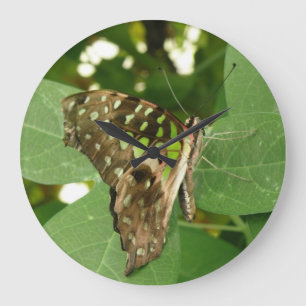 Tropical Iridescent Green Butterfly Wall Clock
