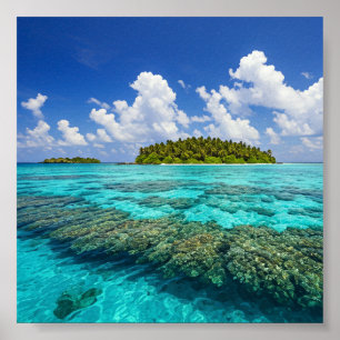 Tropical Island and Coral Reef Poster