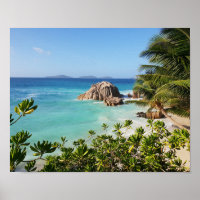Tropical Island Beach Rocks & Palm Trees