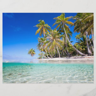Tropical island flyer