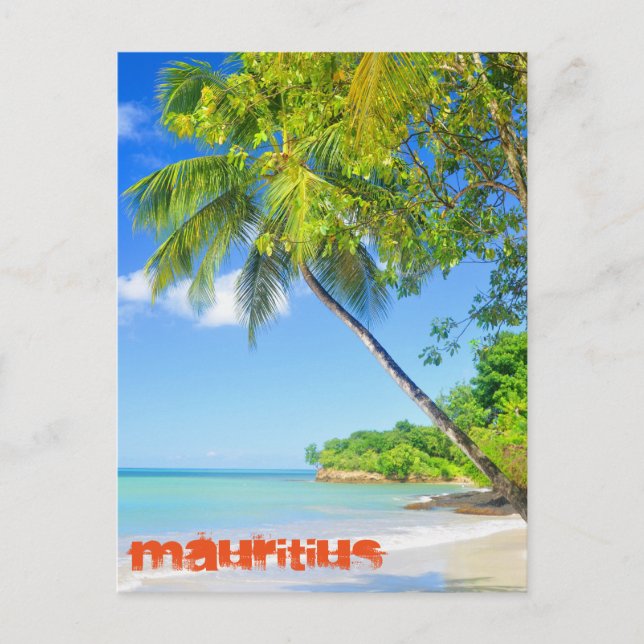 Tropical island in Mauritius Postcard (Front)