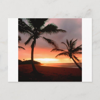 Tropical Island Palms Dominican Republic Postcard