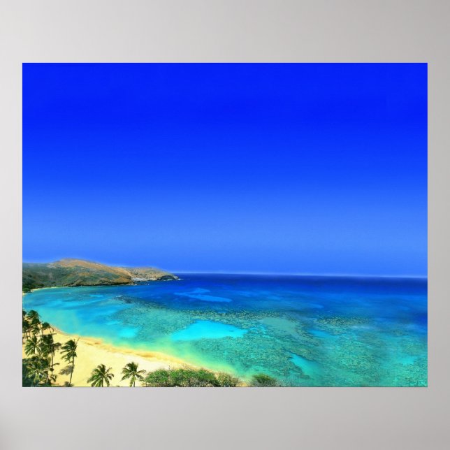 Tropical Island Poster (Front)