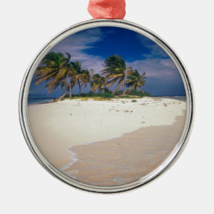 Tropical Island Sandy Anguilla Metal Tree Decoration