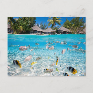 Tropical island under and above water postcard