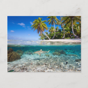 Tropical island under and above water postcard