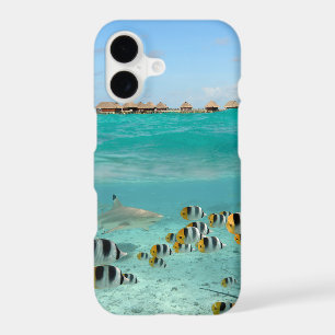 Tropical island with underwater shark