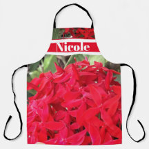 TROPICAL IXORA