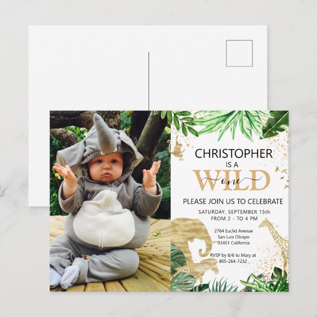 Tropical Jungle Safari Animals Photo 1st Birthday Postcard (Front/Back)