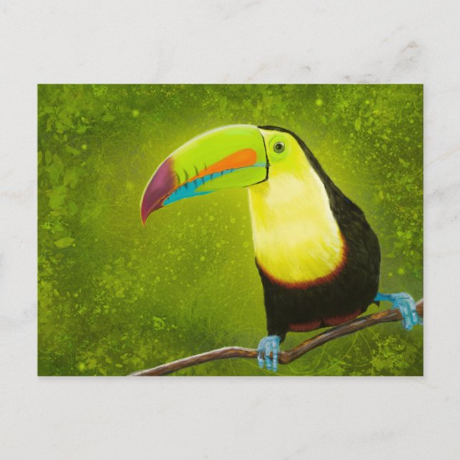 Tropical Jungle Toucan Bird Digital Painting Postcard (Front)