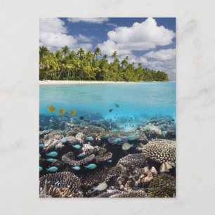 Tropical Lagoon in South Ari Atoll in the Postcard