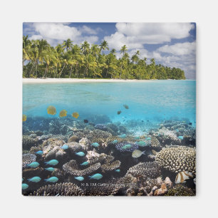 Tropical Lagoon in South Ari Atoll Magnet