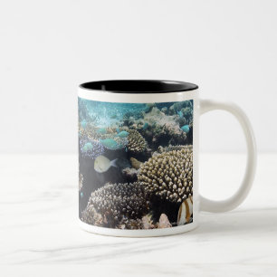 Tropical Lagoon in South Ari Atoll Two-Tone Coffee Mug