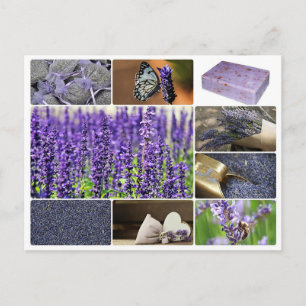 Tropical lavender collage photo postcard
