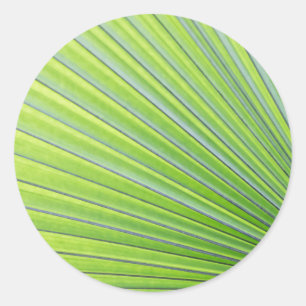Tropical Leaf Envelope Seal Stickers
